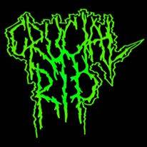 logo Crucial Rip logo Crucial Rip